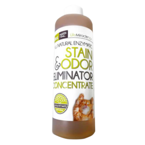 best natural stain remover
