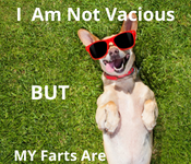 Stop stinky dog farts