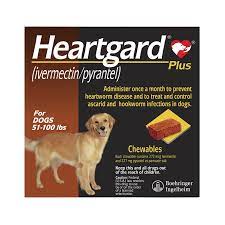  Pets and their needs shows a dog with brand name Heartgard product for ticks and worms, and product descriptions